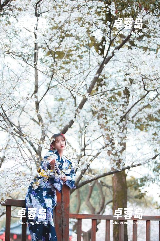 网盘中的Luisa_零纱与吾妻正片，梦幻与现实的完美交织！-卓蓉岛