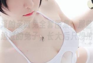一小央泽的圣诞兔全套图集：那些年我们一起追过的兔子，长大后只想拍照！