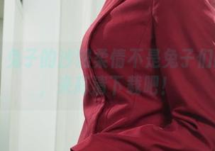 丽柜 - 兔子的沙滩柔情不是兔子们的专利，来高清下载吧！