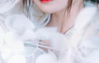 让人心动的兔子Zzz不吃胡萝卜户外套图资源，感受那份宁静