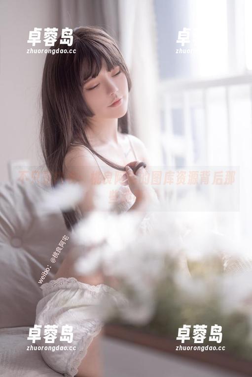 不只是内衣：桃良阿宅的图库资源背后那些趣事-卓蓉岛