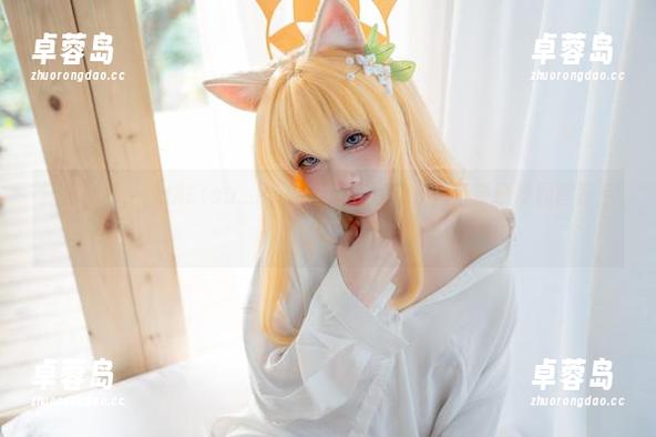 深度剖析：纸悦Etsu_ko的猫猫耳写真集，日奈原皮原图背后的故事-卓蓉岛