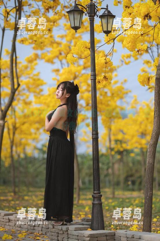萌芽儿o0的透明女仆自拍，超清原图，壁纸好物藏不住！-卓蓉岛