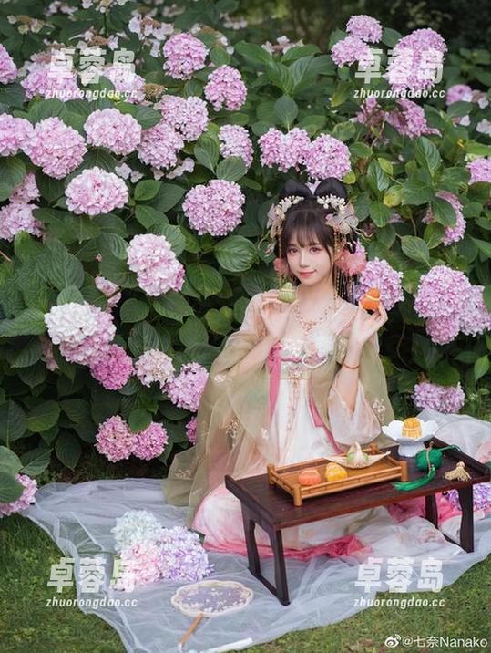 图片中的灰丝：贰加六，你真是个调皮精灵！-卓蓉岛